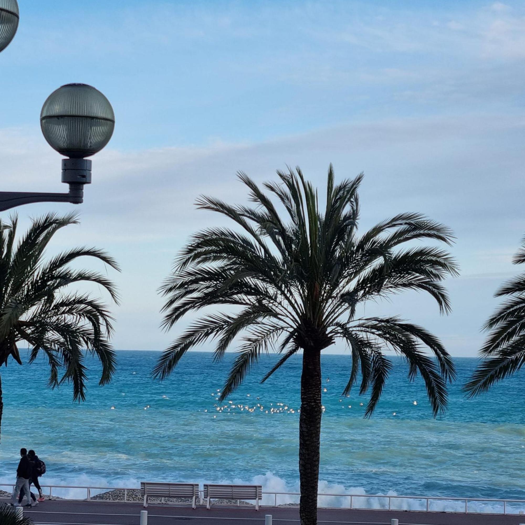 Apartment Sunny Days Nizza